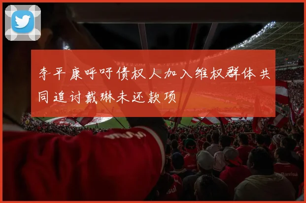 李平康呼吁债权人加入维权群体共同追讨戴琳未还款项