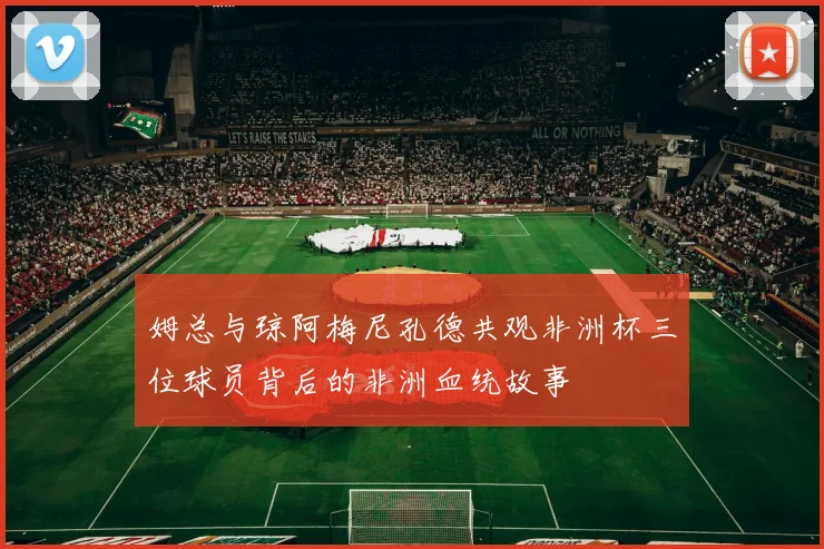 姆总与琼阿梅尼孔德共观非洲杯三位球员背后的非洲血统故事